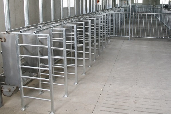 Kleingruppenhaltung mit Fressplatzteilern