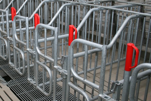 Kastenstand mit pd-Türen